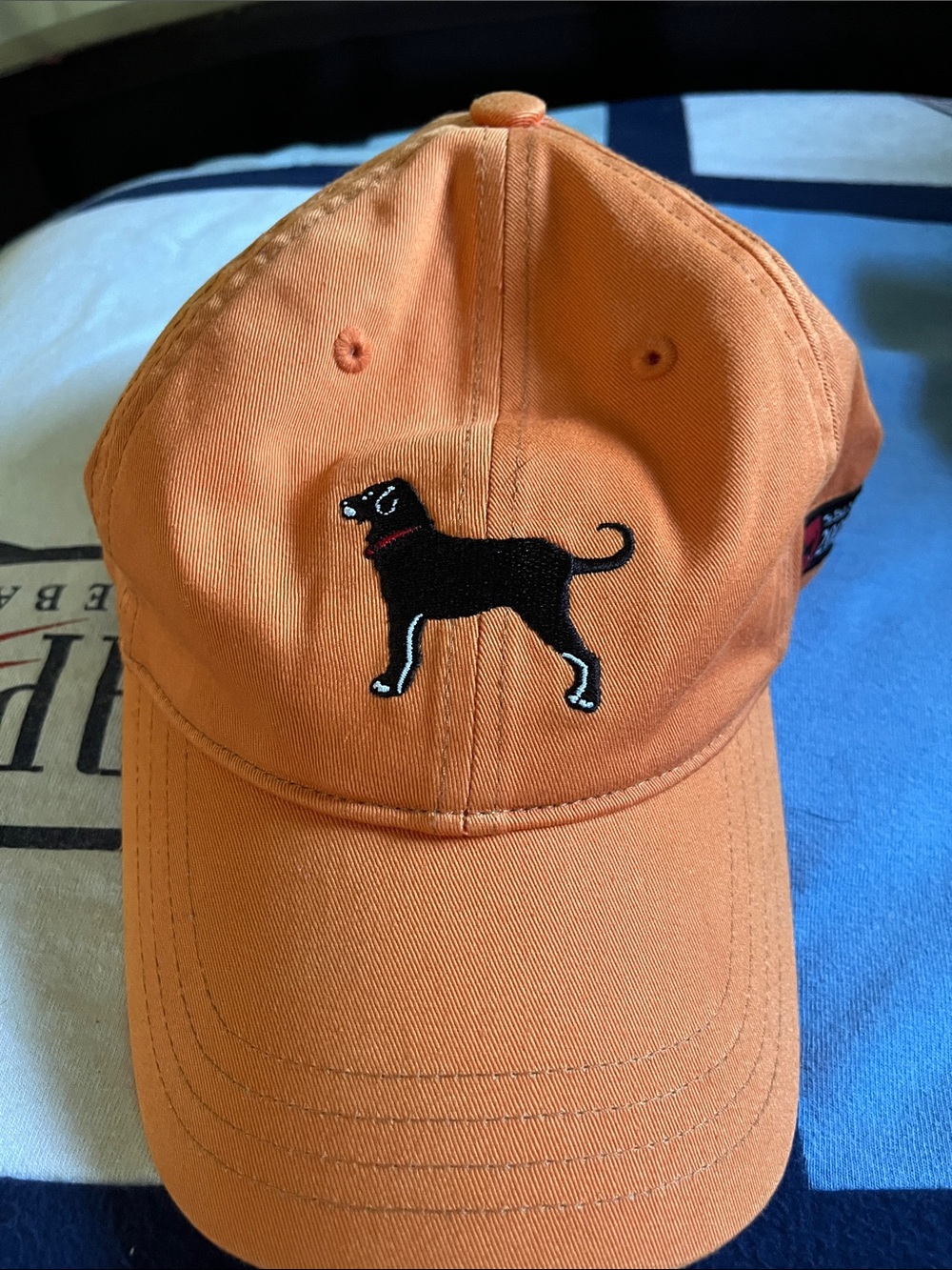 The Black Dog Orange Embroidered Dog Baseball Cap